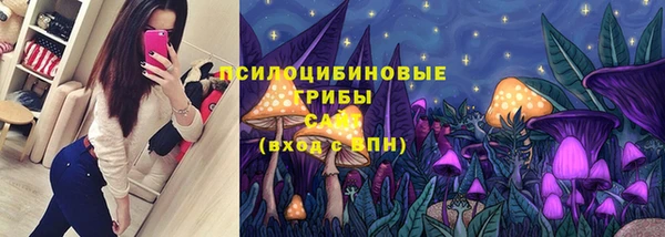 spice Алзамай
